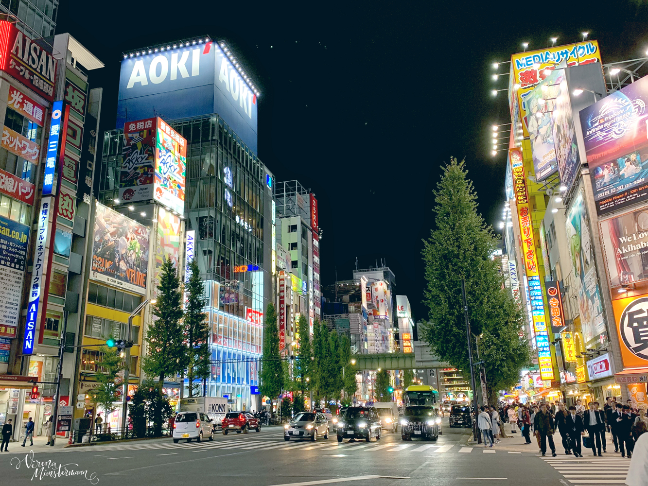 tokio - nach-Japan-reisen - akihabara - moreconfetti