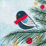 Bird_adventskalender_verenamuenstermann