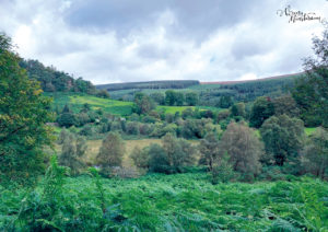 irland - fünf Fragen am Fünften - verenamuenstermann.de