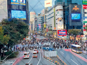shibuya crossing - nach-Japan-reisen - tokio - verenamuenstermann