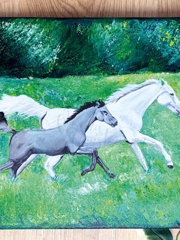 Wild & Free | Pferde galoppieren über eine Wiese acryl auf Leinwand