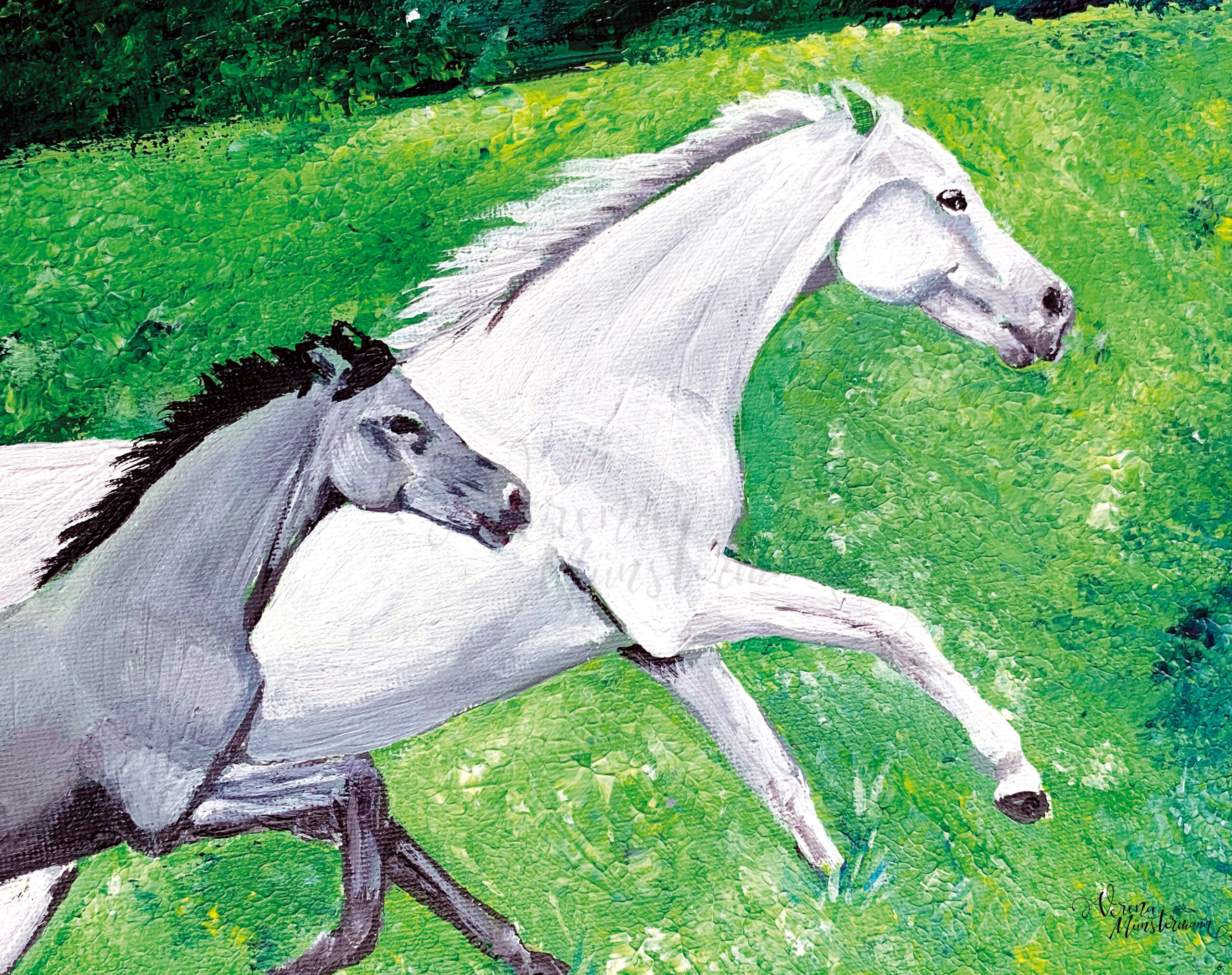 Wild & Free | Pferde galoppieren über eine Wiese acryl auf Leinwand